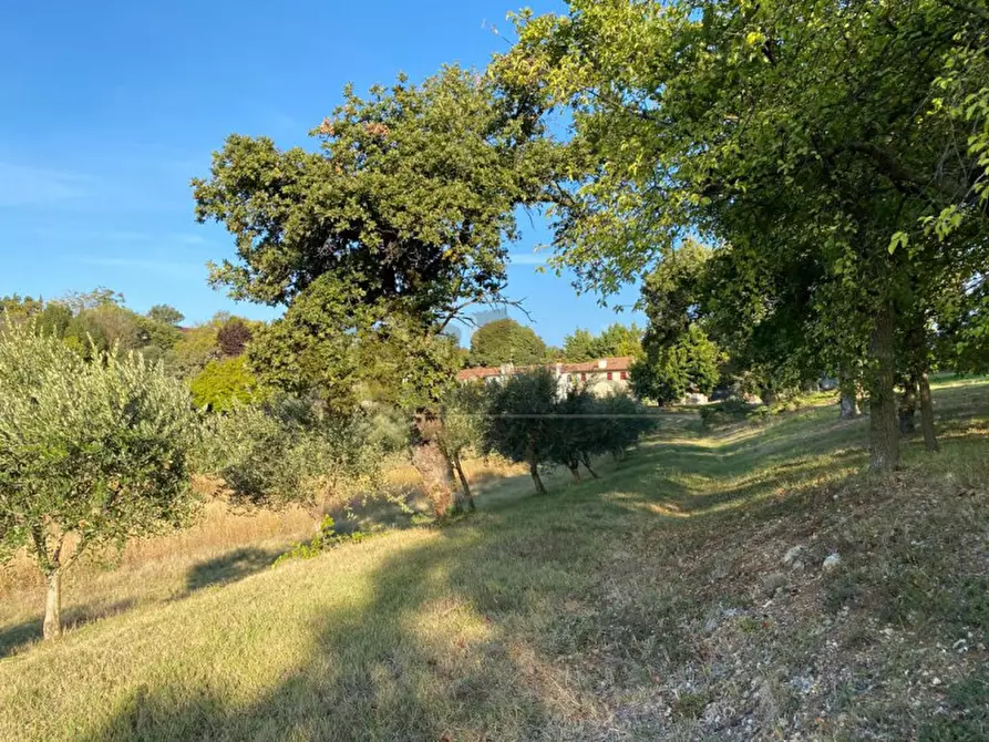 Immagine 2 di Terreno in vendita  a Val Liona