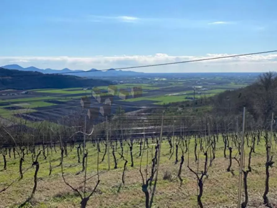 Immagine 4 di Terreno in vendita  a Val Liona