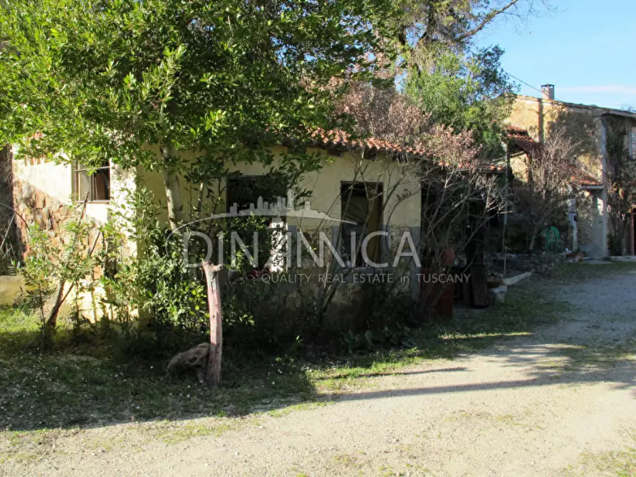 Immagine 5 di Rustico / casale in vendita  a Chianni