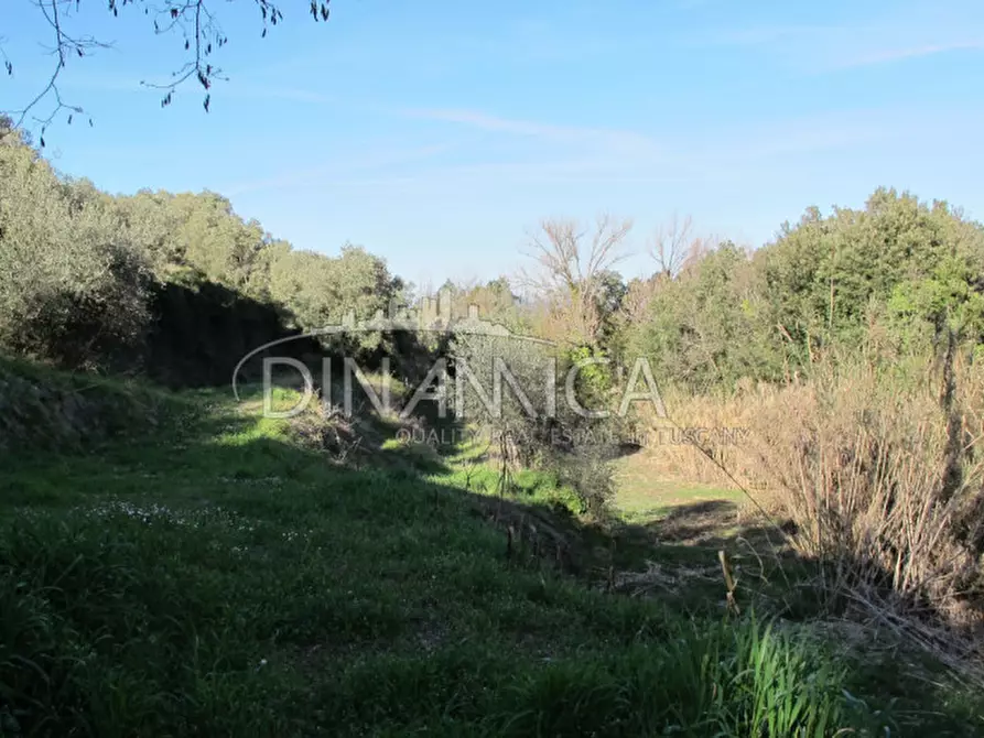 Immagine 6 di Rustico / casale in vendita  a Chianni