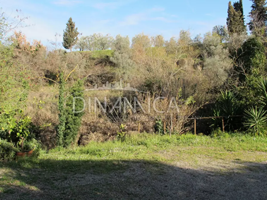 Immagine 7 di Rustico / casale in vendita  a Chianni