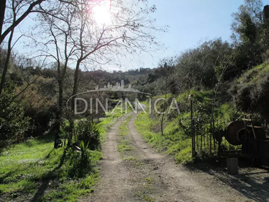 Immagine 8 di Rustico / casale in vendita  a Chianni