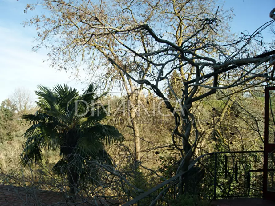 Immagine 26 di Rustico / casale in vendita  a Chianni