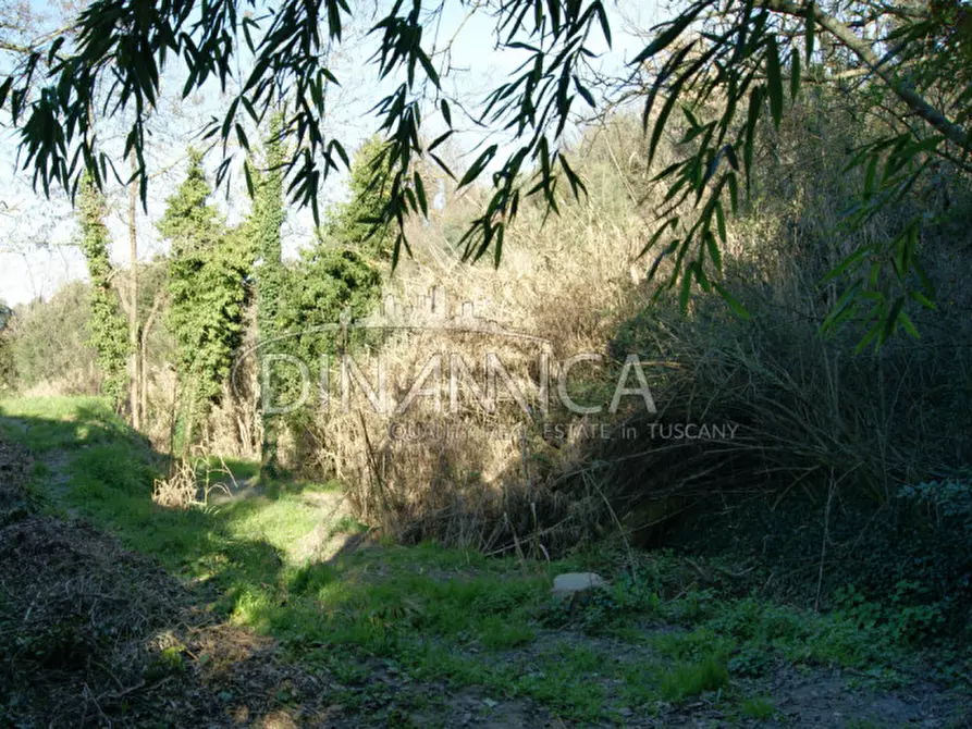 Immagine 27 di Rustico / casale in vendita  a Chianni