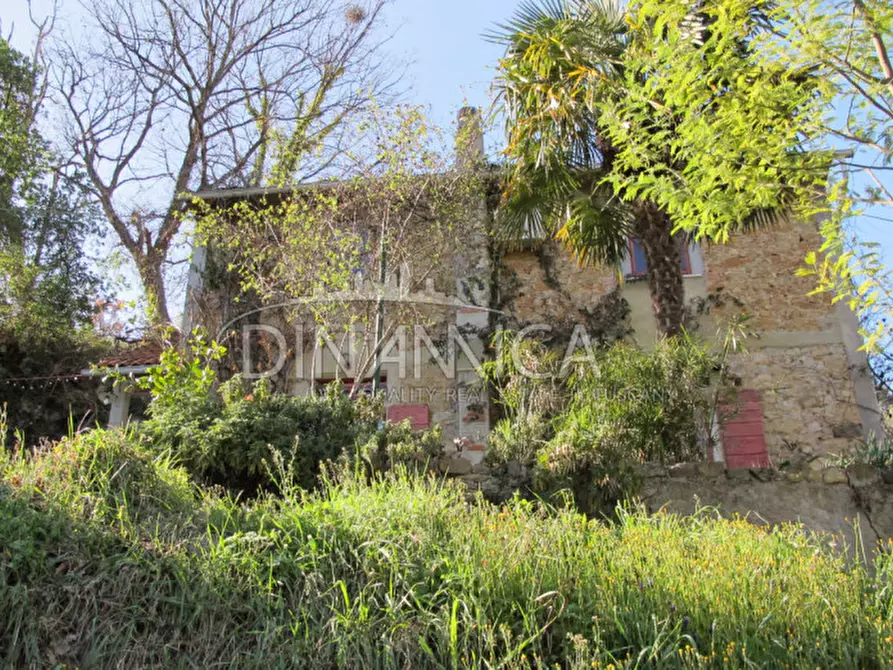 Immagine 29 di Rustico / casale in vendita  a Chianni