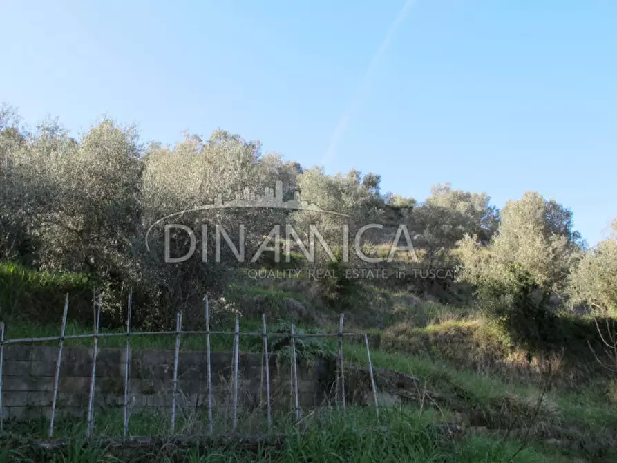 Immagine 30 di Rustico / casale in vendita  a Chianni