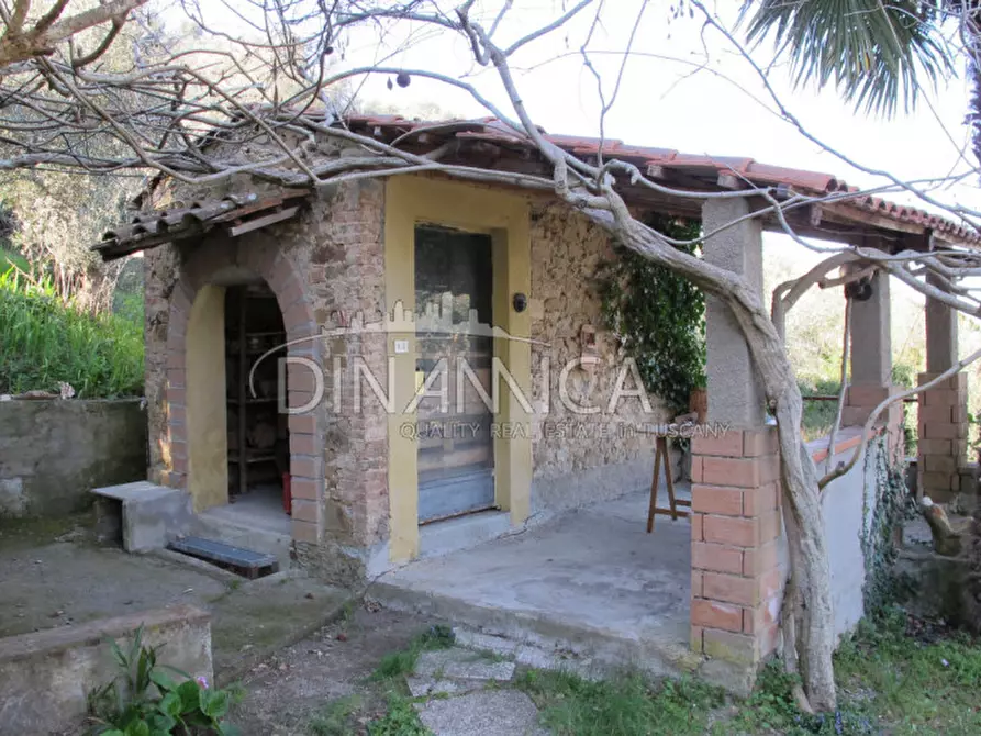 Immagine 34 di Rustico / casale in vendita  a Chianni