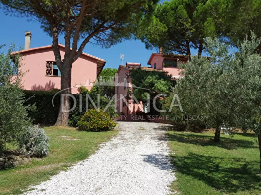 Immagine 4 di Rustico / casale in vendita  a Fauglia