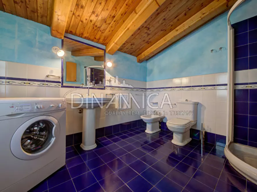 Immagine 47 di Rustico / casale in vendita  a Fauglia