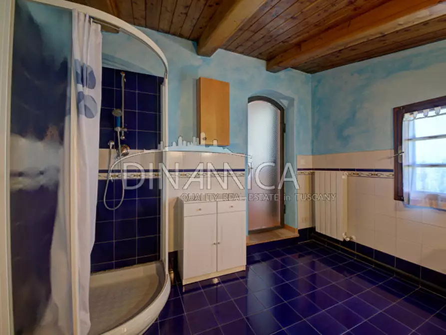 Immagine 48 di Rustico / casale in vendita  a Fauglia