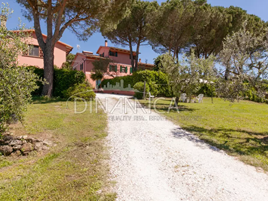 Immagine 61 di Rustico / casale in vendita  a Fauglia