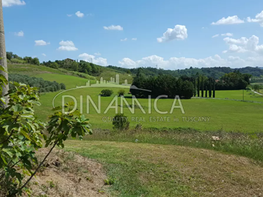 Immagine 67 di Rustico / casale in vendita  a Fauglia