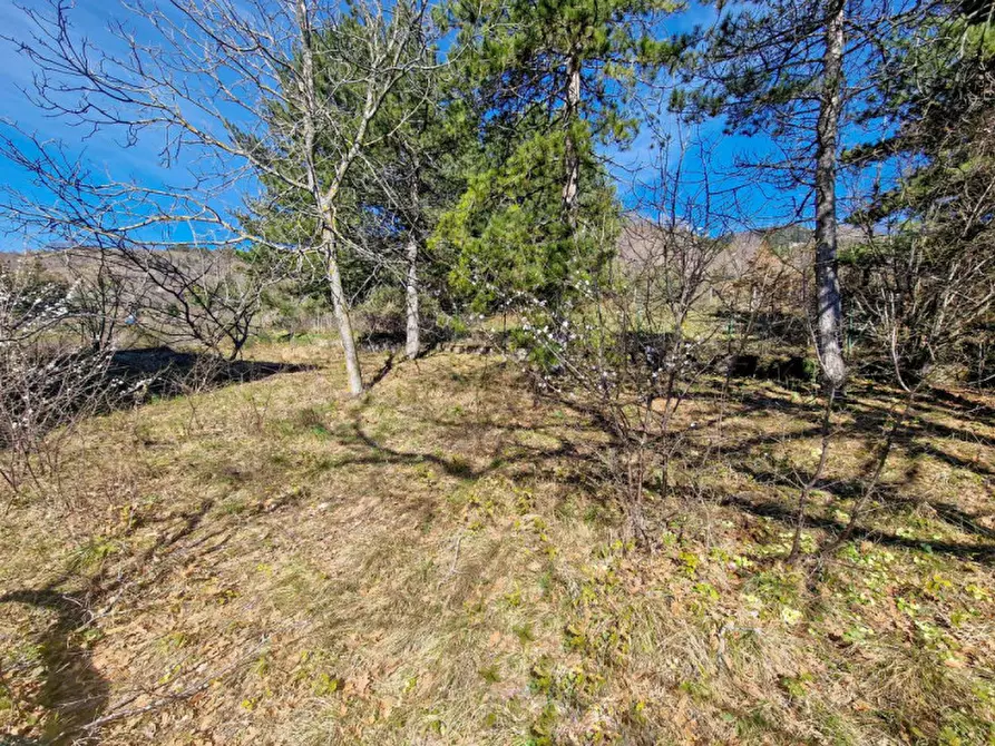 Immagine 34 di Casa bifamiliare in vendita  in via Cippo a Carpegna