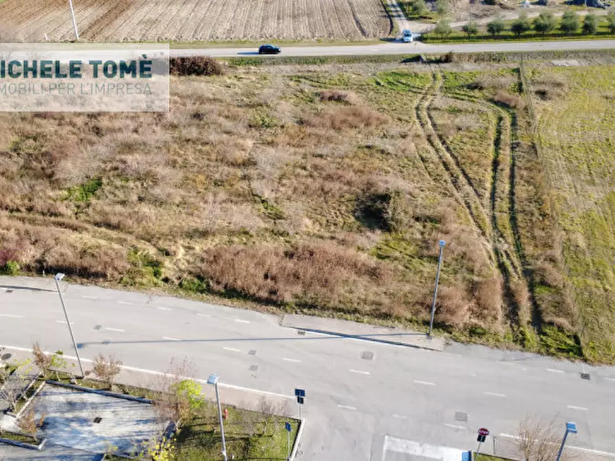 Immagine 5 di Capannone industriale in vendita  in località bisavola a Bardolino