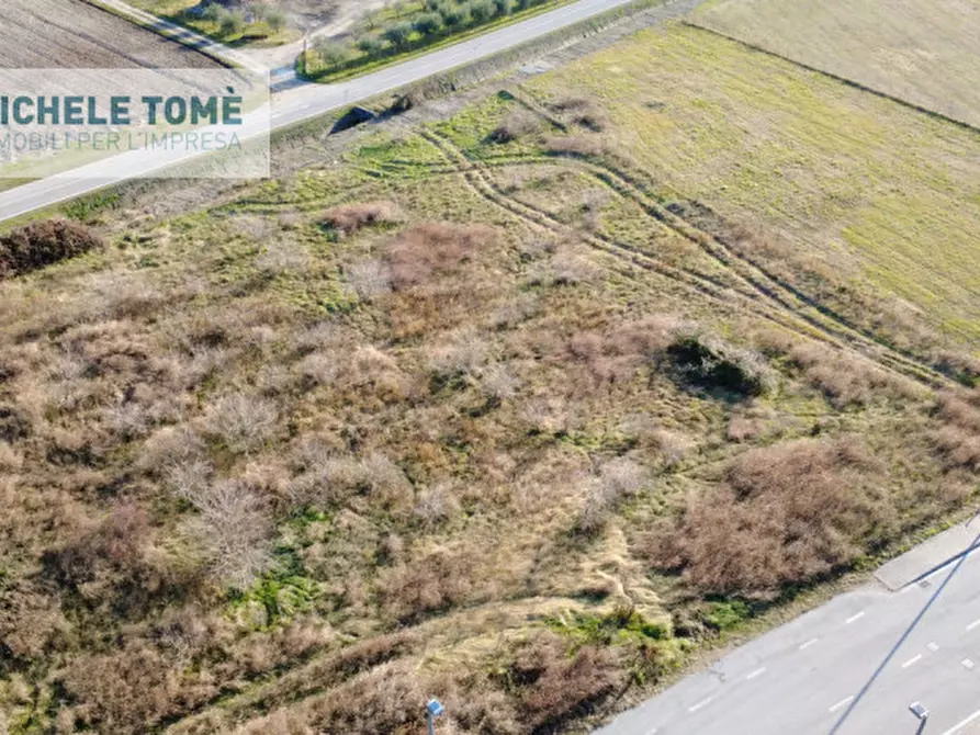 Immagine 7 di Capannone industriale in vendita  in località bisavola a Bardolino