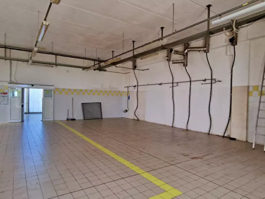 Immagine 2 di Capannone industriale in affitto  a Abano Terme