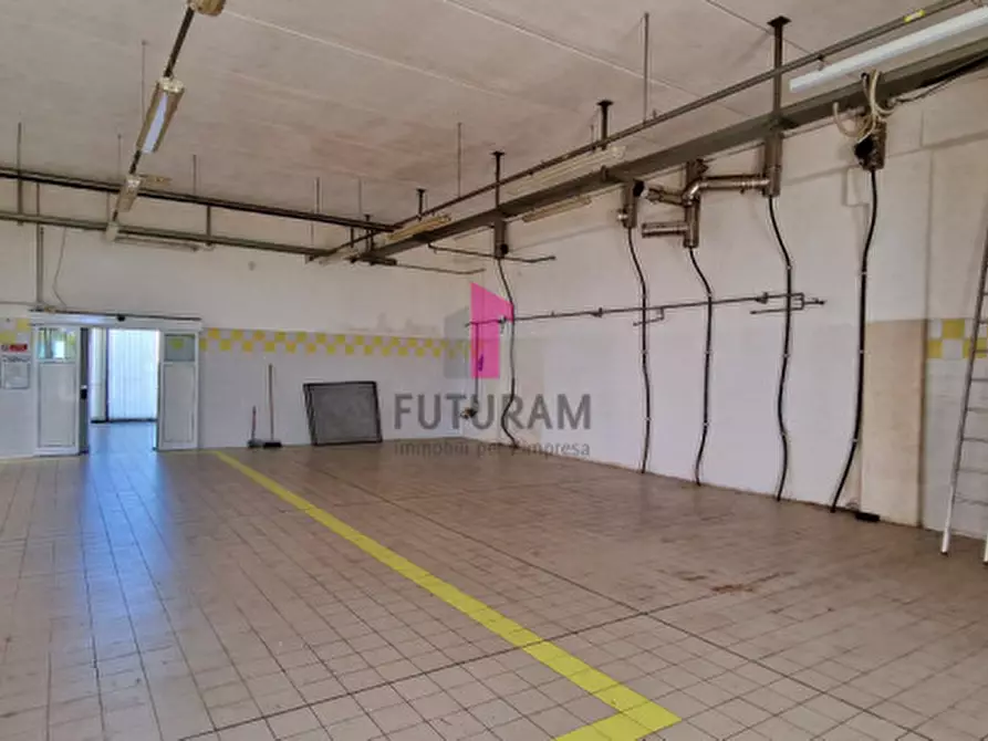 Immagine 4 di Capannone industriale in affitto  a Abano Terme