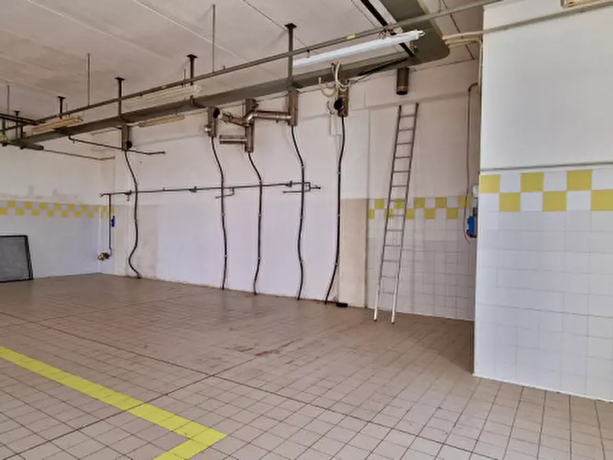 Immagine 5 di Capannone industriale in affitto  a Abano Terme