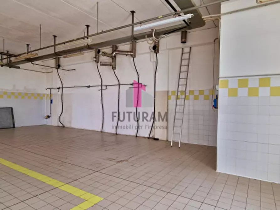 Immagine 8 di Capannone industriale in affitto  a Abano Terme