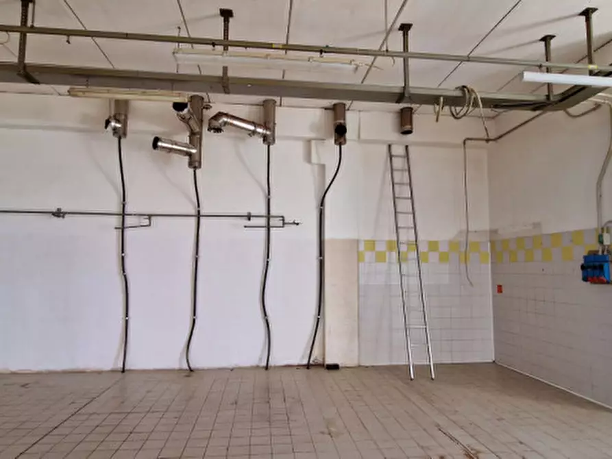 Immagine 19 di Capannone industriale in affitto  a Abano Terme