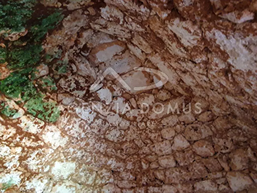 Immagine 10 di Rustico / casale in vendita  in Località Cisternella a Alliste
