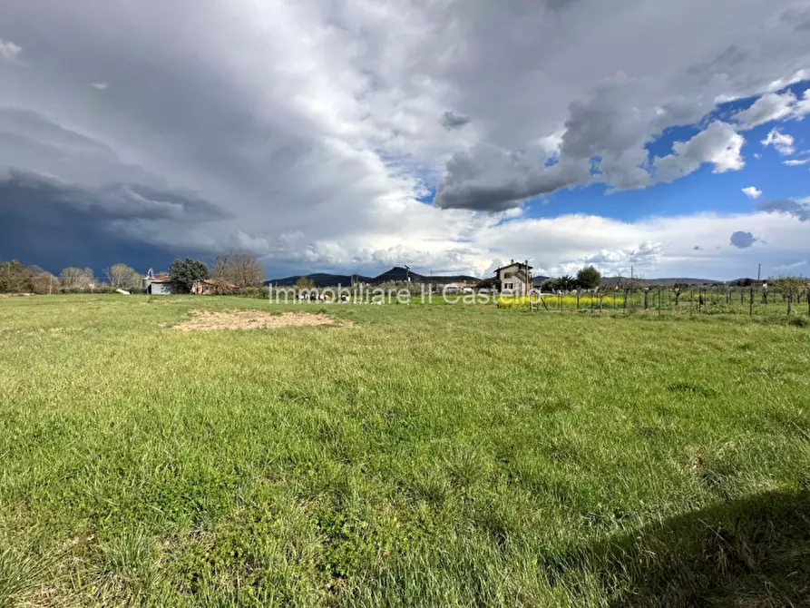 Immagine 1 di Terreno in vendita  a Castiglione Del Lago