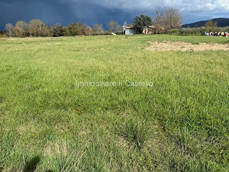 Immagine 2 di Terreno in vendita  a Castiglione Del Lago