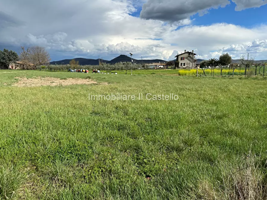Immagine 3 di Terreno in vendita  a Castiglione Del Lago