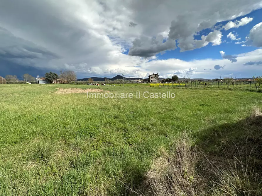 Immagine 4 di Terreno in vendita  a Castiglione Del Lago