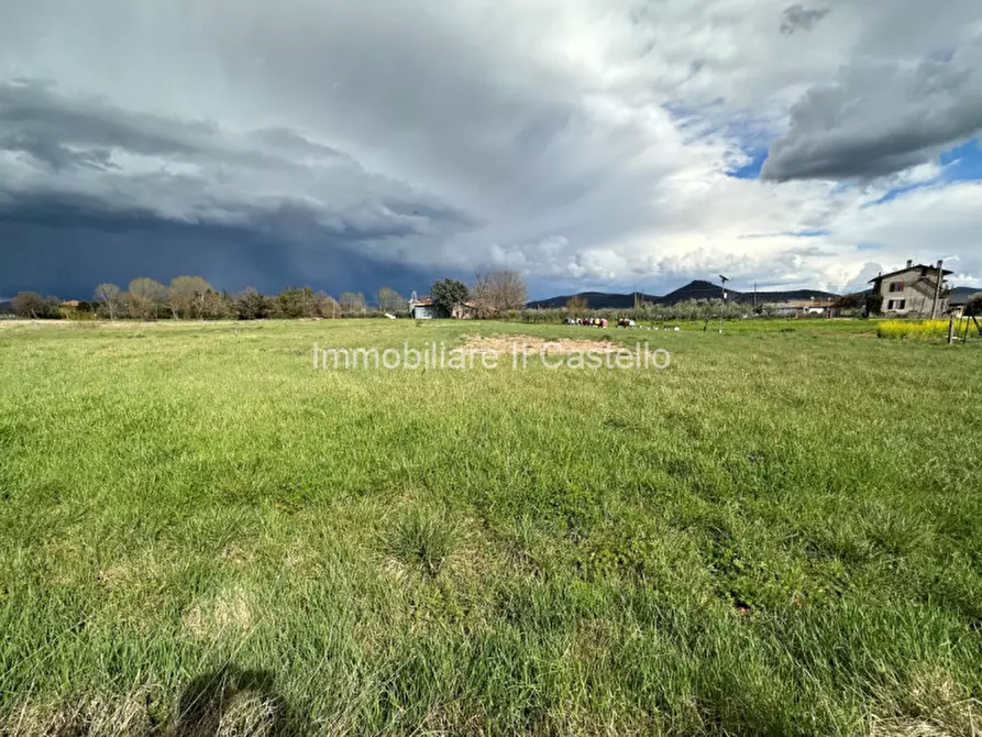 Immagine 5 di Terreno in vendita  a Castiglione Del Lago