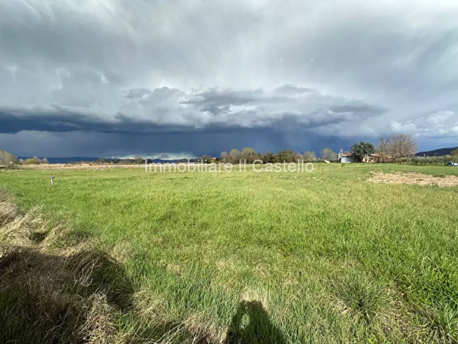 Immagine 6 di Terreno in vendita  a Castiglione Del Lago