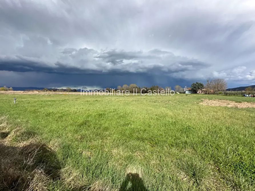 Immagine 7 di Terreno in vendita  a Castiglione Del Lago