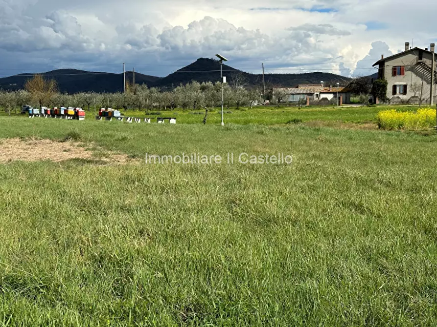 Immagine 8 di Terreno in vendita  a Castiglione Del Lago