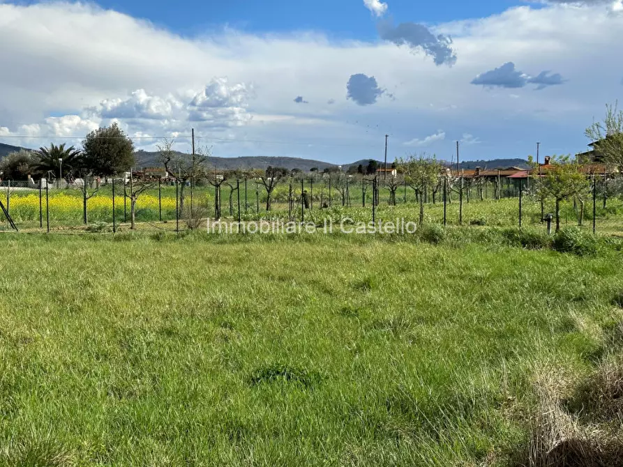 Immagine 9 di Terreno in vendita  a Castiglione Del Lago