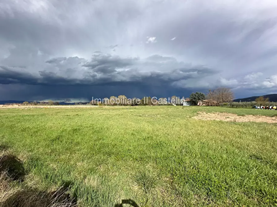 Immagine 10 di Terreno in vendita  a Castiglione Del Lago