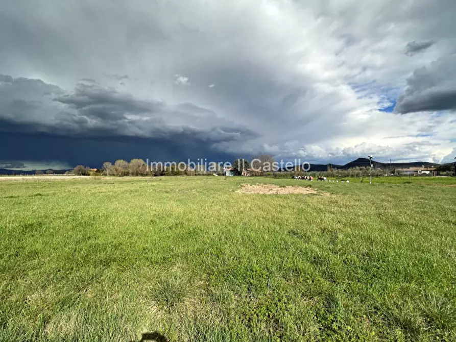 Immagine 11 di Terreno in vendita  a Castiglione Del Lago