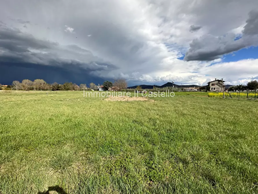 Immagine 12 di Terreno in vendita  a Castiglione Del Lago
