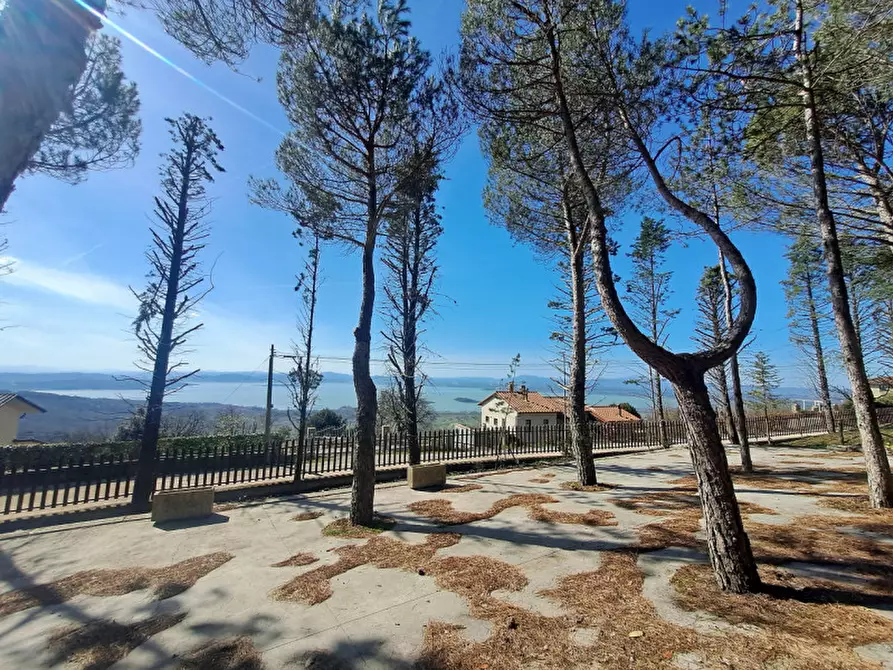 Immagine 1 di Rustico / casale in vendita  a Lisciano Niccone