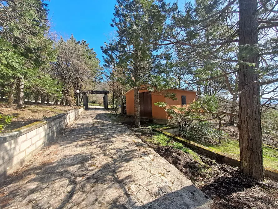 Immagine 2 di Rustico / casale in vendita  a Lisciano Niccone