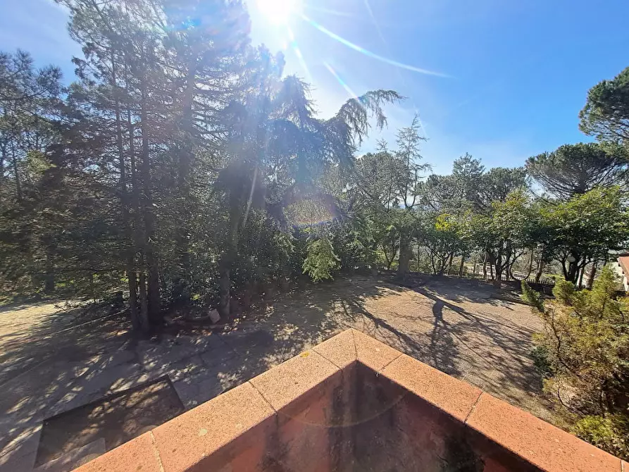 Immagine 9 di Rustico / casale in vendita  a Lisciano Niccone