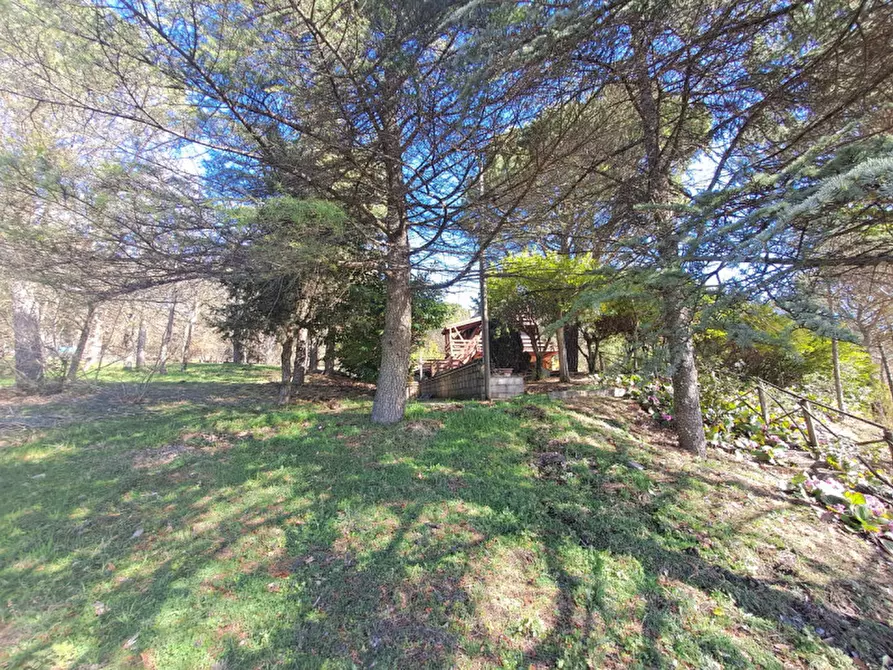 Immagine 20 di Rustico / casale in vendita  a Lisciano Niccone