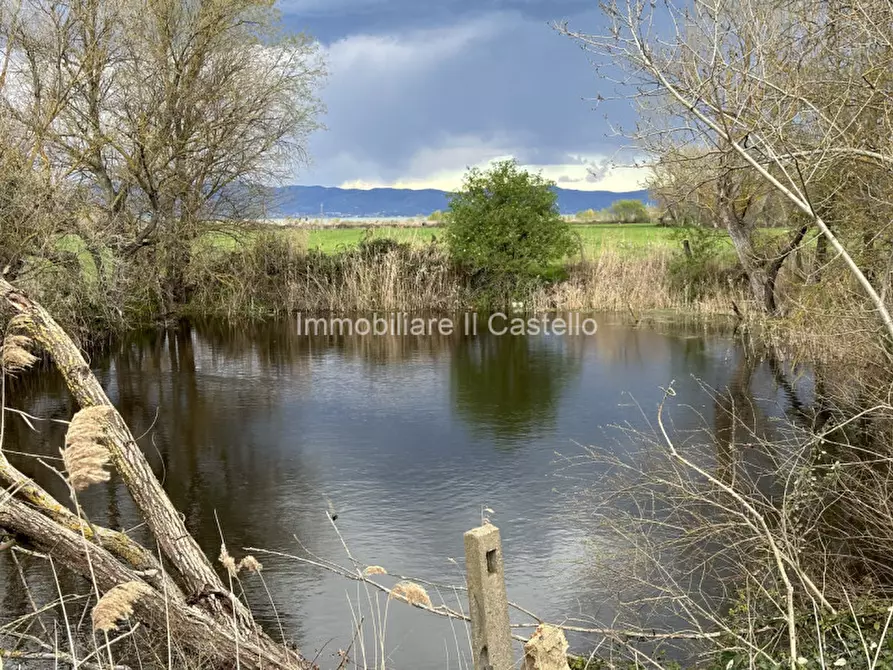 Immagine 2 di Terreno in vendita  a Castiglione Del Lago