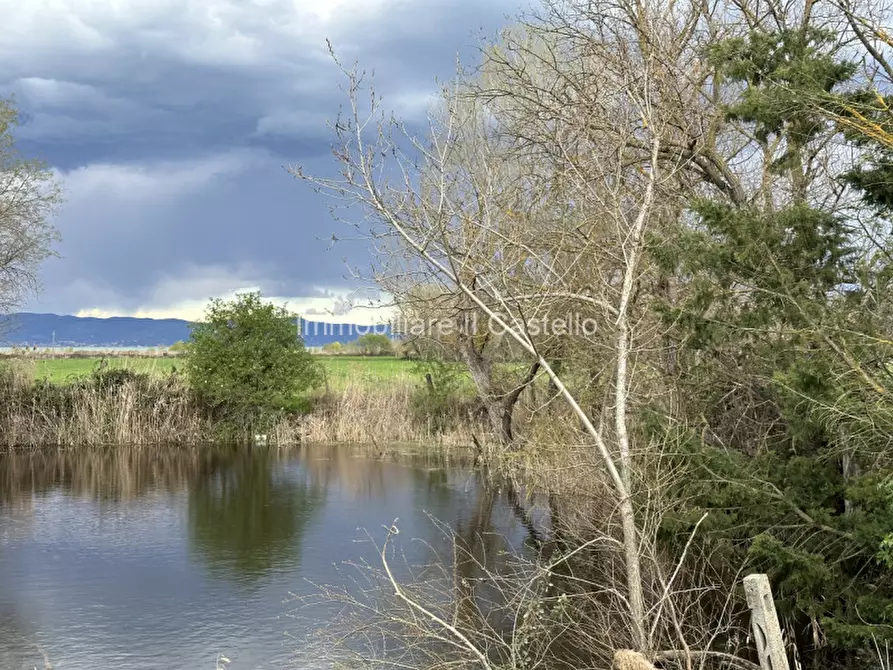 Immagine 3 di Terreno in vendita  a Castiglione Del Lago