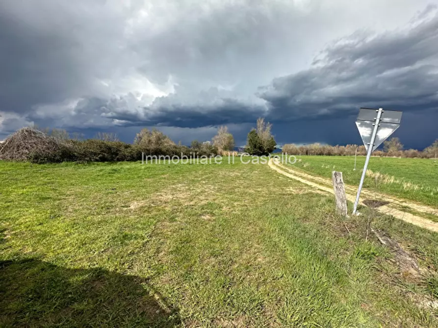 Immagine 5 di Terreno in vendita  a Castiglione Del Lago