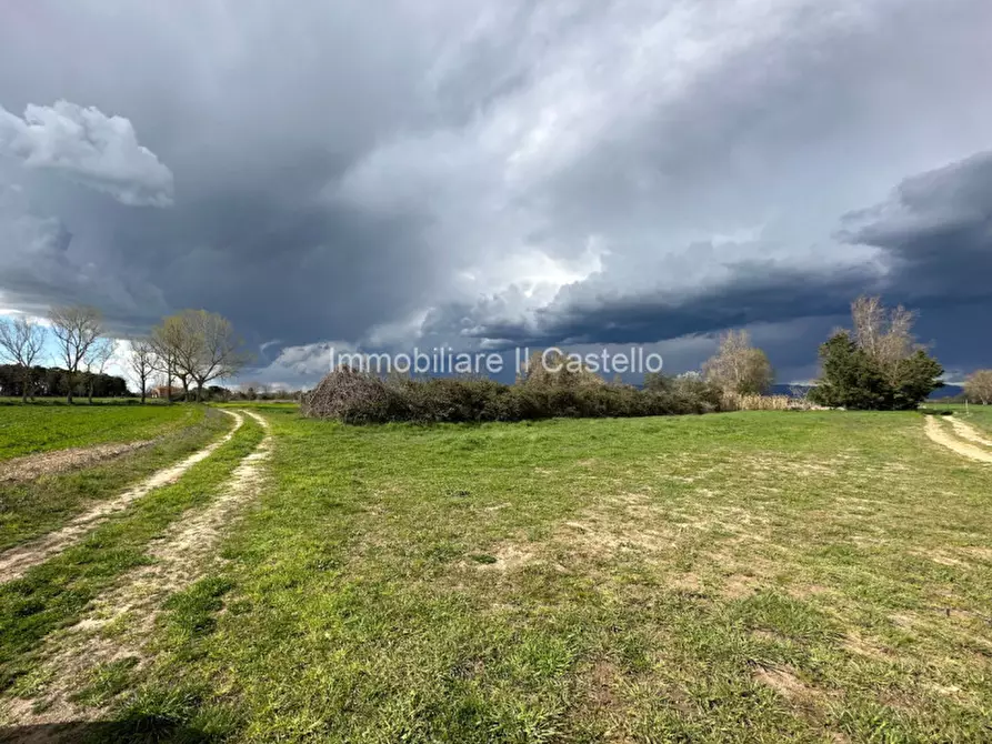 Immagine 6 di Terreno in vendita  a Castiglione Del Lago