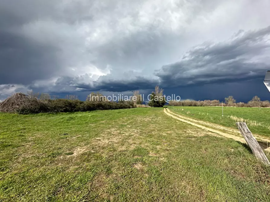 Immagine 7 di Terreno in vendita  a Castiglione Del Lago