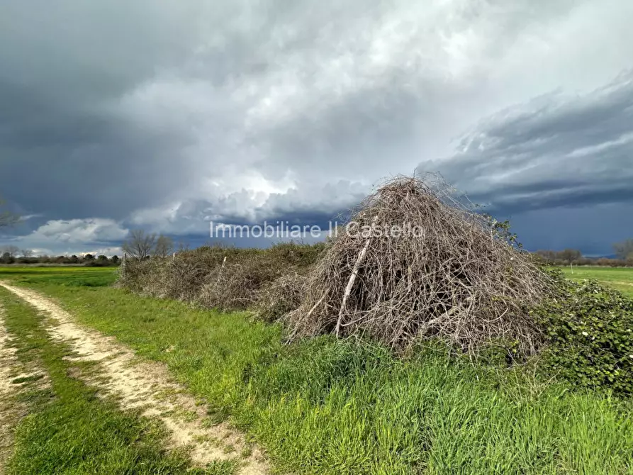 Immagine 8 di Terreno in vendita  a Castiglione Del Lago