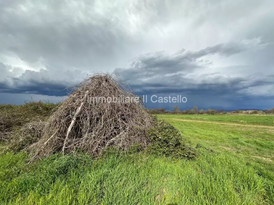 Immagine 9 di Terreno in vendita  a Castiglione Del Lago