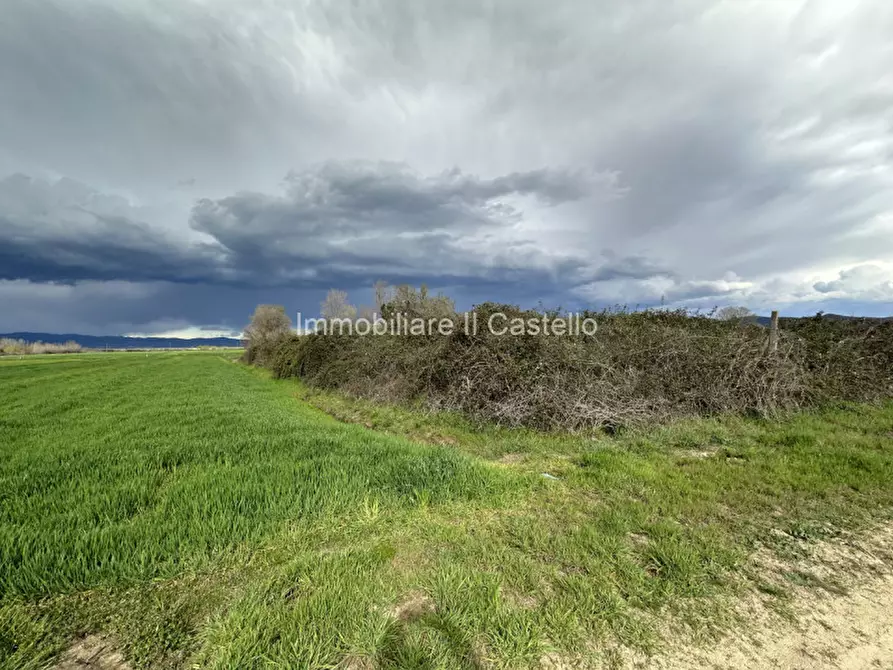 Immagine 10 di Terreno in vendita  a Castiglione Del Lago