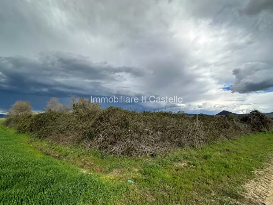 Immagine 11 di Terreno in vendita  a Castiglione Del Lago